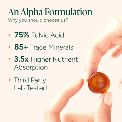 Alpha Gummies - Testosterone Booster