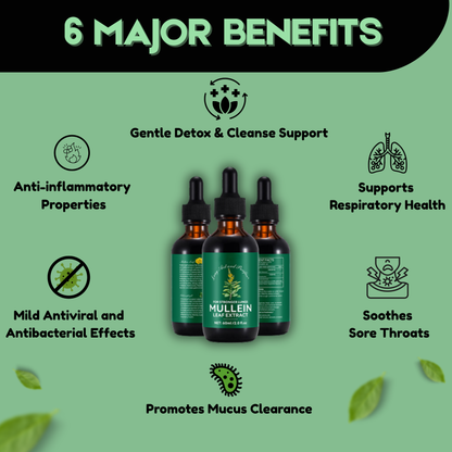 Breathe Well - Respiratory Herbal Support